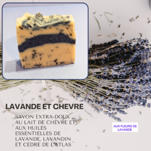Lavande et Chèvre